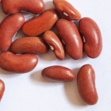Beans
