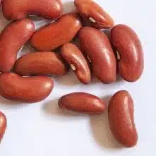 Dry beans