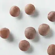 Red lentils