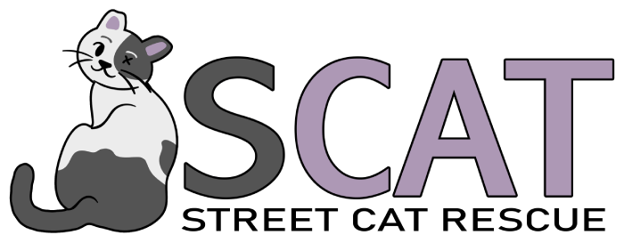 SCAT rectangular logo 1