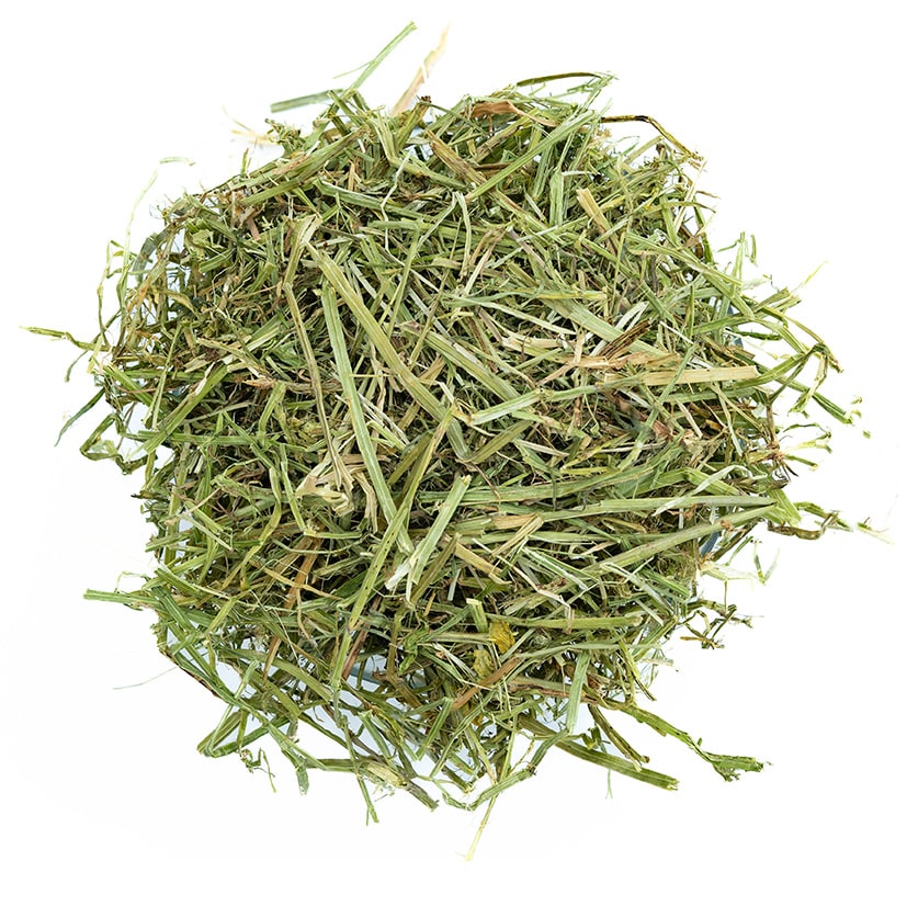 Grass and forage seed cleaning equipment — alfalfa