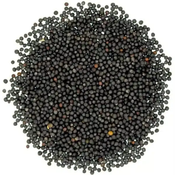 Specialty crop cleaning equipment — canola