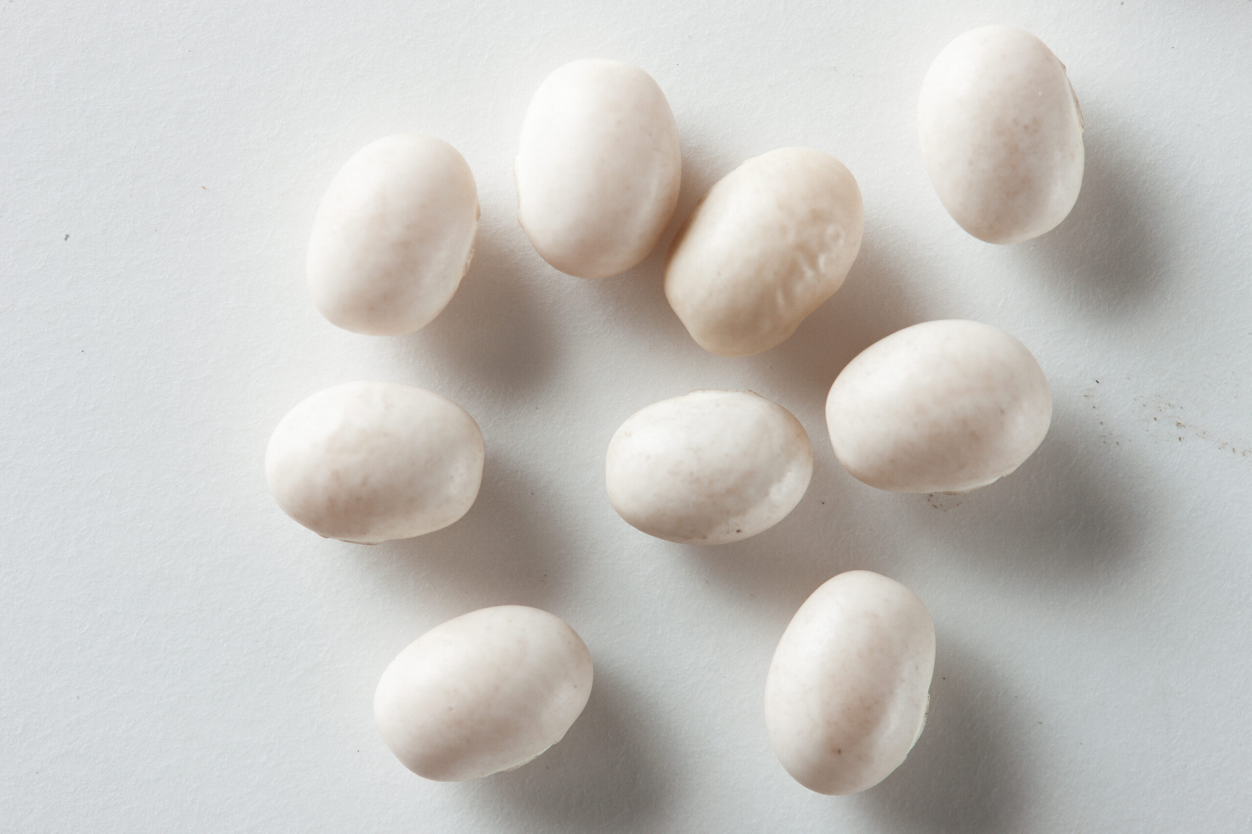 Edible bean and pulse cleaning equipment — cleaned navy beans, accepted product