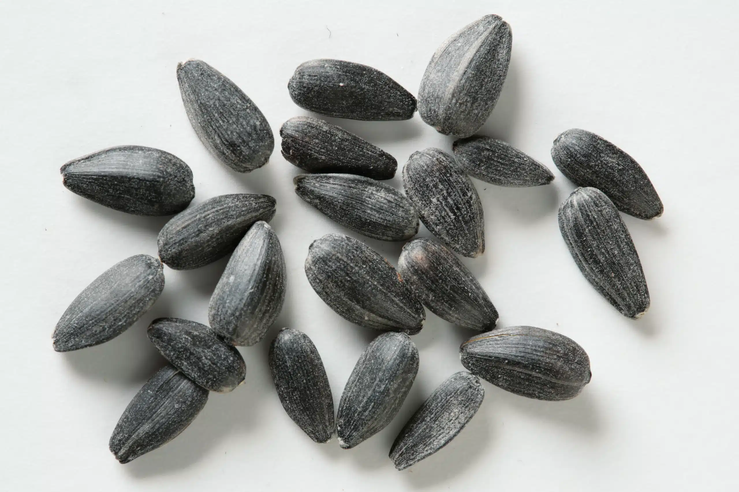 Sunflower seed accepts sorted by a VistaSort color sorter